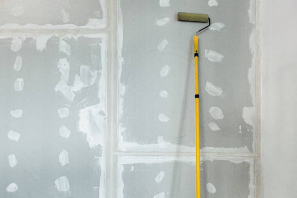 Best Water-Damaged Drywall Repair  in Dryden, MI