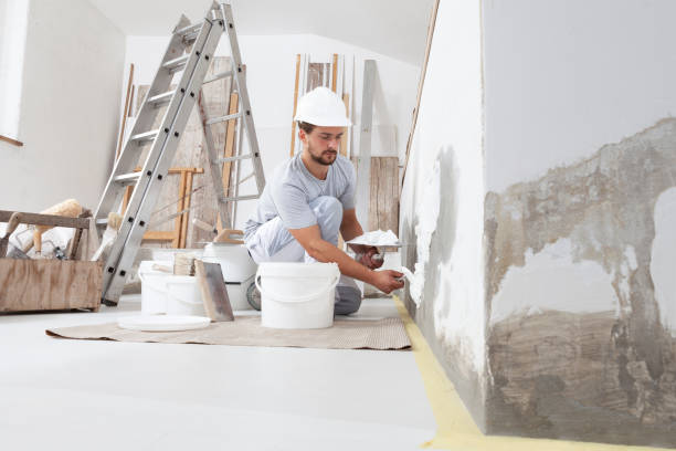 Best Custom Drywall Designs  in Dryden, MI