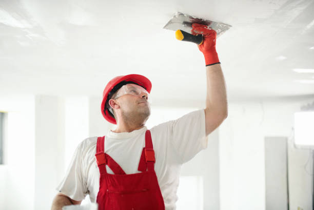 Best Touch-Up Painting  in Dryden, MI