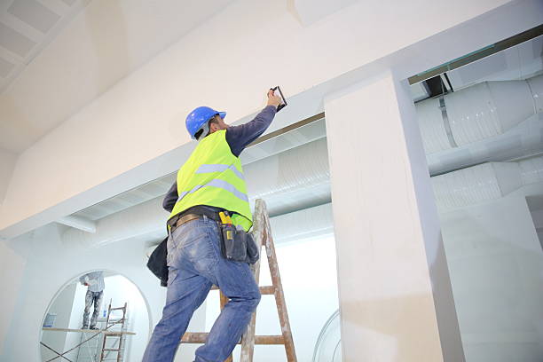 Best Drywall Texturing  in Dryden, MI