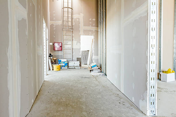 Best Drywall Sanding and Smoothing  in Dryden, MI