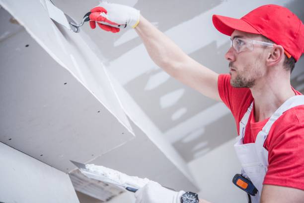 Best Drywall Installation  in Dryden, MI